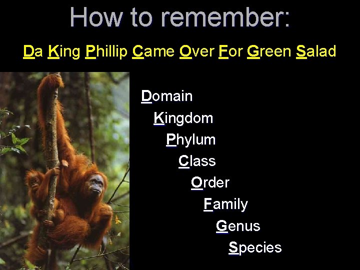 How to remember: Da King Phillip Came Over For Green Salad Domain Kingdom Phylum