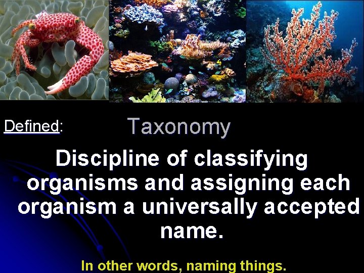 Taxonomy Discipline of classifying organisms and assigning each organism a universally accepted name. Defined: