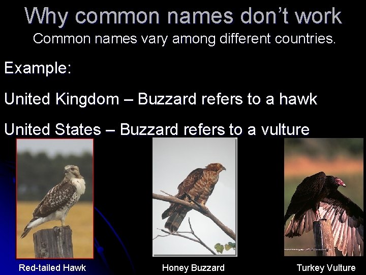 Why common names don’t work Common names vary among different countries. Example: United Kingdom