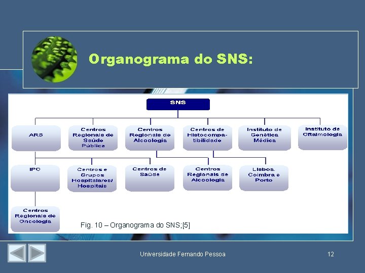 Organograma do SNS: Fig. 10 – Organograma do SNS; [5] Universidade Fernando Pessoa 12