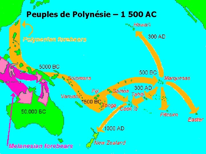 Peuples de Polynésie – 1 500 AC Sociétés et civilisations § Dogons § Polynésie