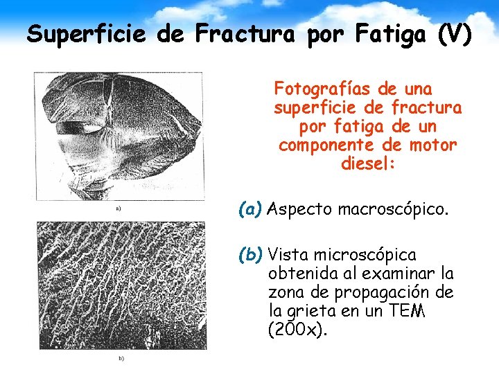 Superficie de Fractura por Fatiga (V) Fotografías de una superficie de fractura por fatiga