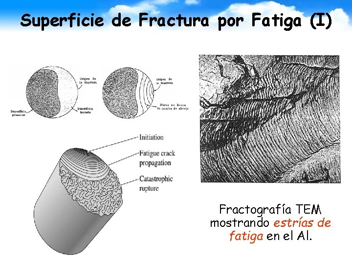 Superficie de Fractura por Fatiga (I) Fractografía TEM mostrando estrías de fatiga en el