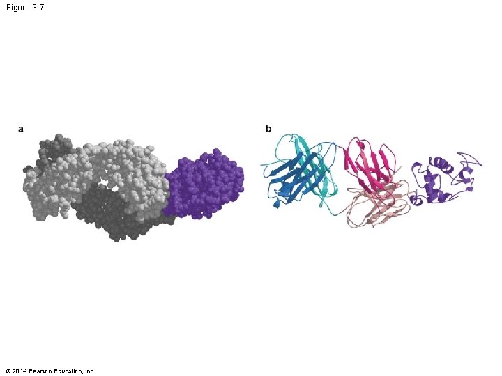 Figure 3 -7 © 2014 Pearson Education, Inc. 