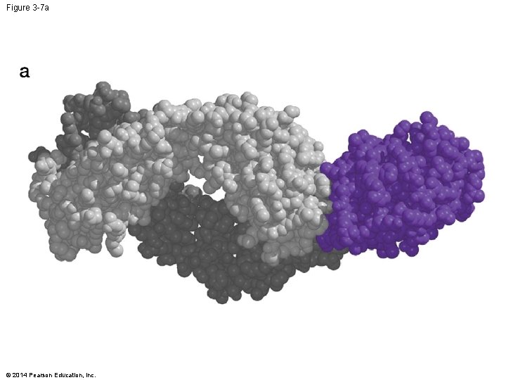 Figure 3 -7 a © 2014 Pearson Education, Inc. 