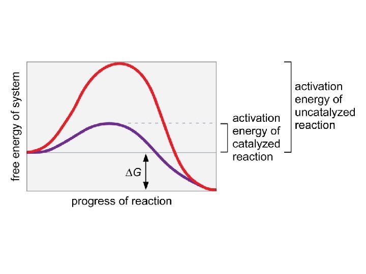 Figure 3 -13 © 2014 Pearson Education, Inc. 