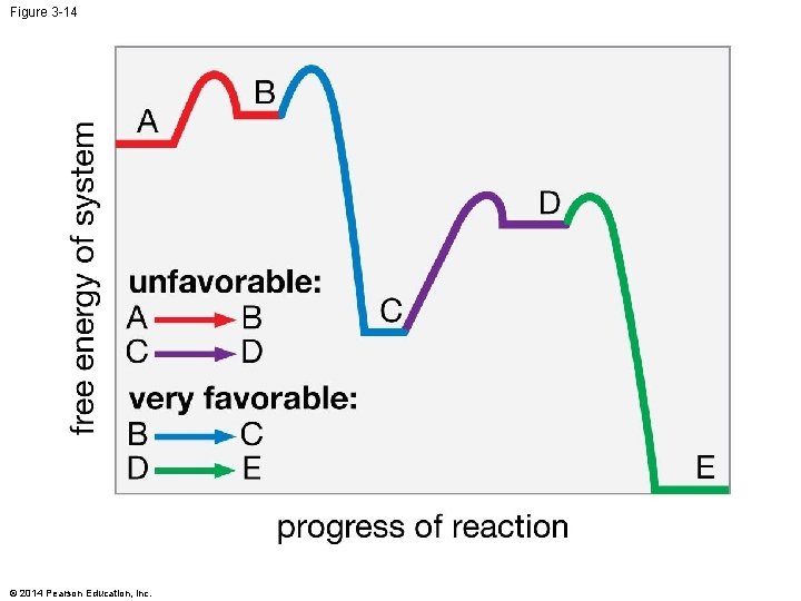 Figure 3 -14 © 2014 Pearson Education, Inc. 