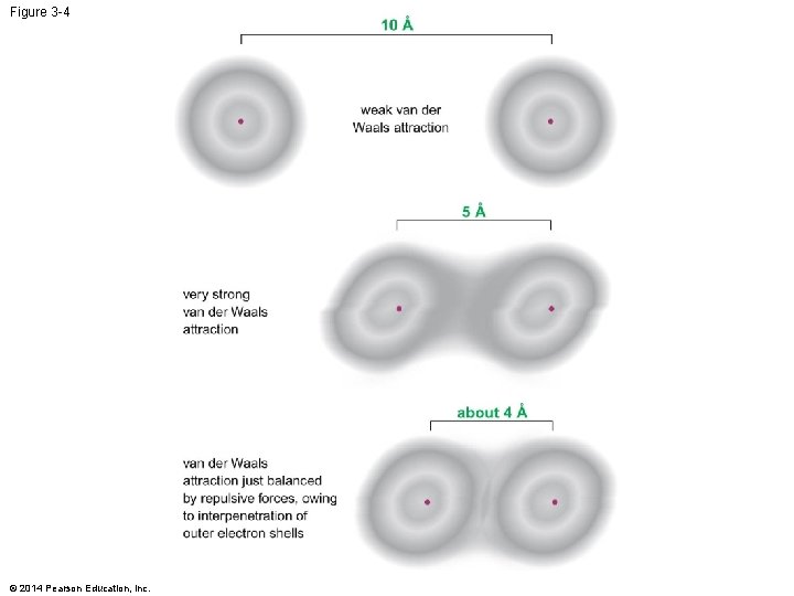 Figure 3 -4 © 2014 Pearson Education, Inc. 