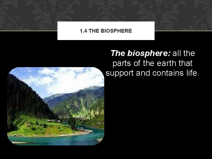 1. 4 THE BIOSPHERE The biosphere: all the parts of the earth that support