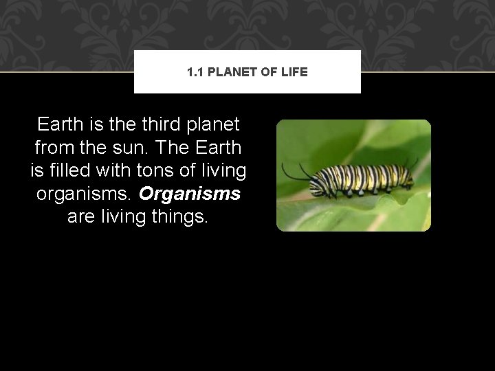 1. 1 PLANET OF LIFE Earth is the third planet from the sun. The