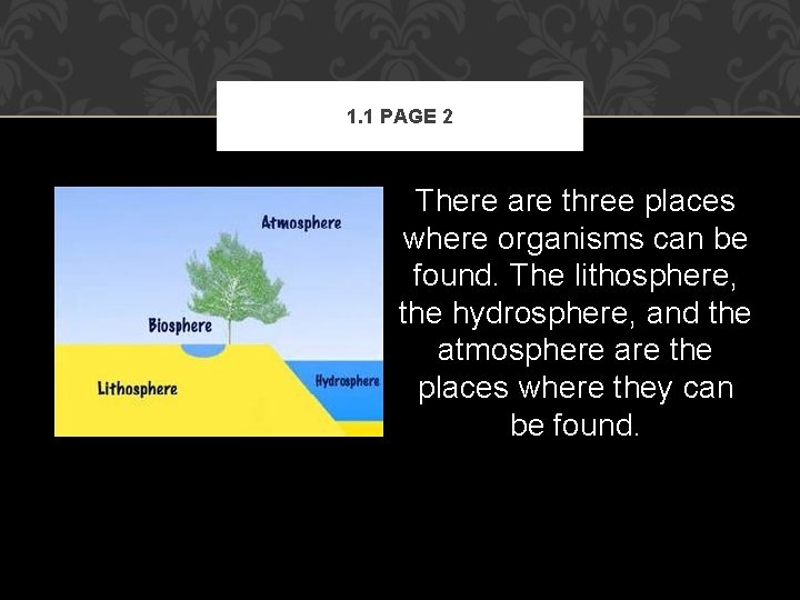 1. 1 PAGE 2 There are three places where organisms can be found. The