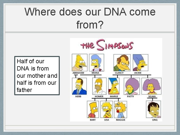 Where does our DNA come from? Half of our DNA is from our mother