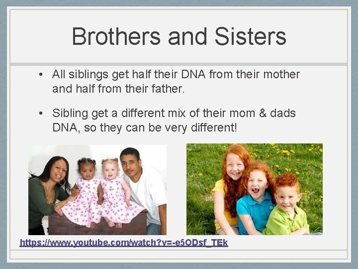 Brothers and Sisters • All siblings get half their DNA from their mother and