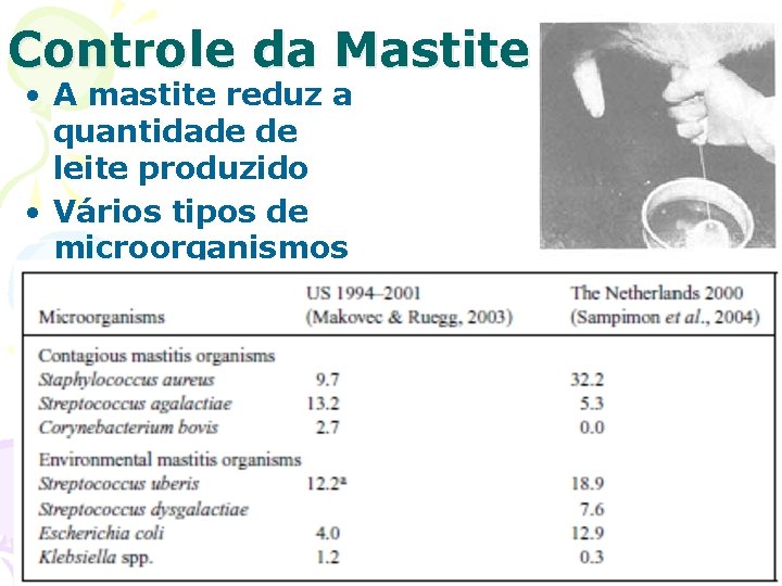 Controle da Mastite • A mastite reduz a quantidade de leite produzido • Vários