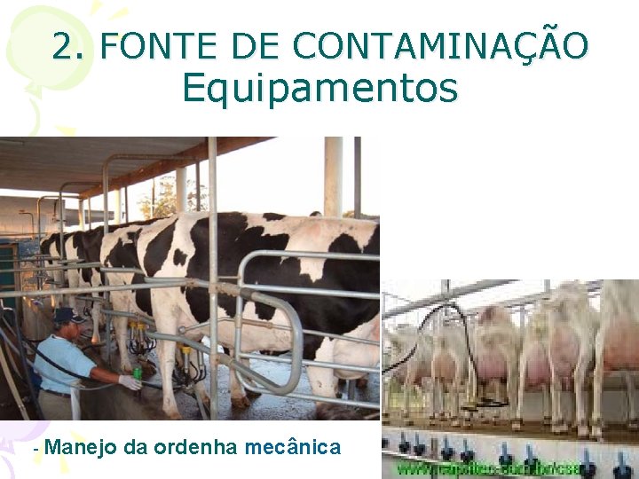 2. FONTE DE CONTAMINAÇÃO Equipamentos - Manejo da ordenha mecânica 