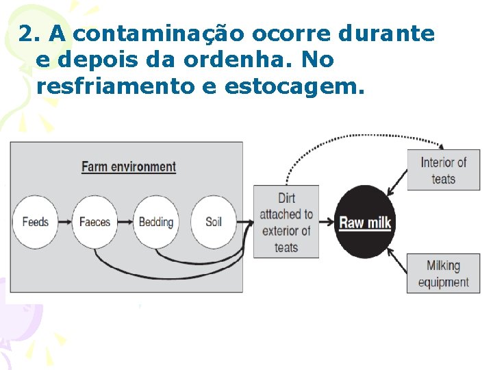 2. A contaminação ocorre durante e depois da ordenha. No resfriamento e estocagem. 