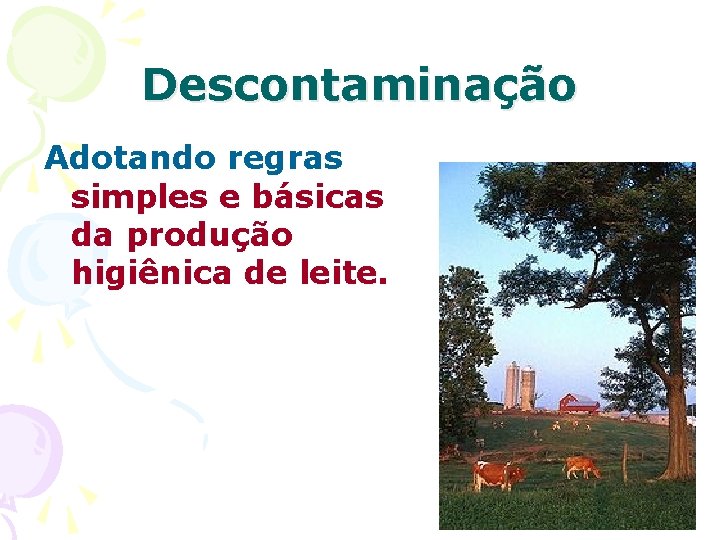 Descontaminação Adotando regras simples e básicas da produção higiênica de leite. 