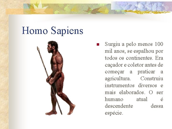 Homo Sapiens n Surgiu a pelo menos 100 mil anos, se espalhou por todos