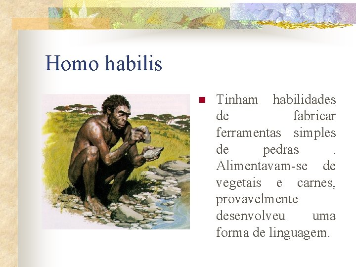 Homo habilis n Tinham habilidades de fabricar ferramentas simples de pedras. Alimentavam-se de vegetais