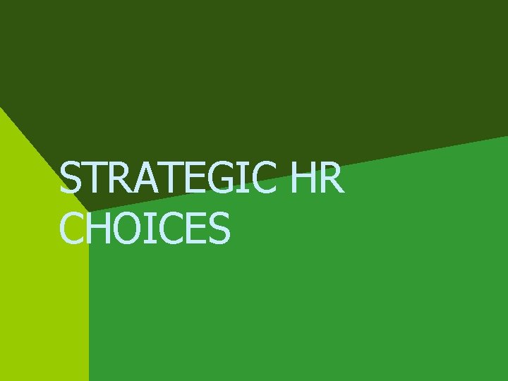 STRATEGIC HR CHOICES 