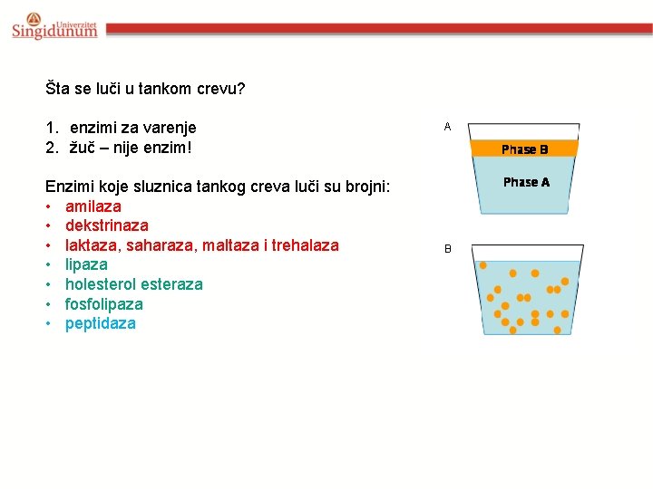 Šta se luči u tankom crevu? 1. enzimi za varenje 2. žuč – nije