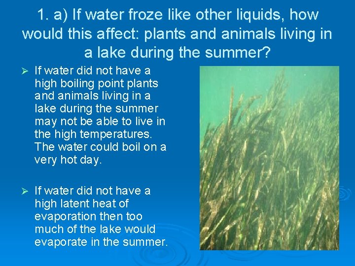 1. a) If water froze like other liquids, how would this affect: plants and