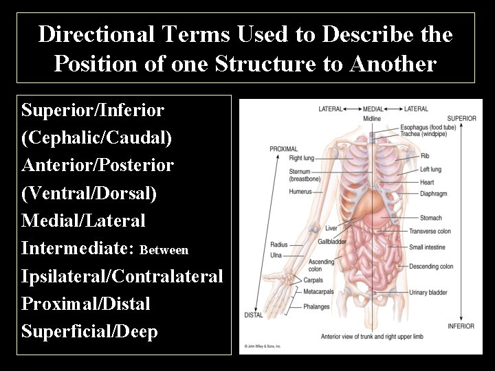 Bio 241 Unit 1 Lecture 1 Scientific Method