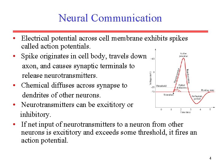 Neural Communication • Electrical potential across cell membrane exhibits spikes called action potentials. •