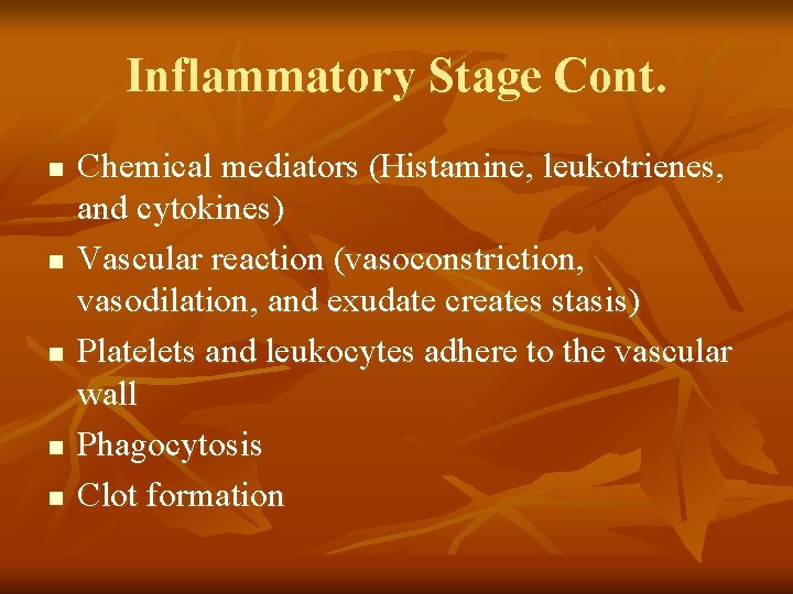 Inflammatory Stage Cont. n n n Chemical mediators (Histamine, leukotrienes, and cytokines) Vascular reaction