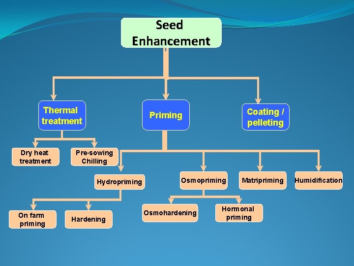 Seed Enhancement Thermal treatment Dry heat treatment Pre-sowing Chilling Hydropriming On farm priming Coating