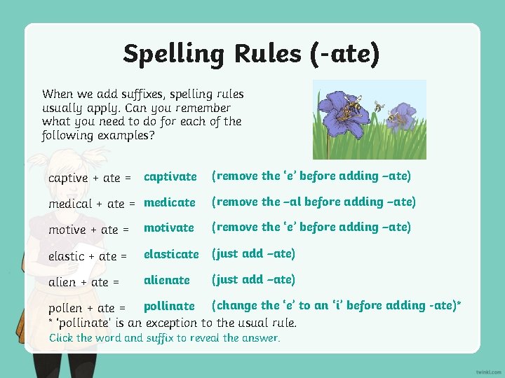 Spelling Rules (-ate) When we add suffixes, spelling rules usually apply. Can you remember