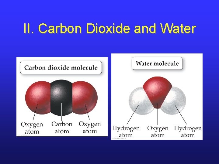 II. Carbon Dioxide and Water 