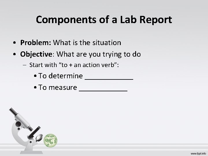 Review Lab Exam Plant Cells Shape Generally rectangular