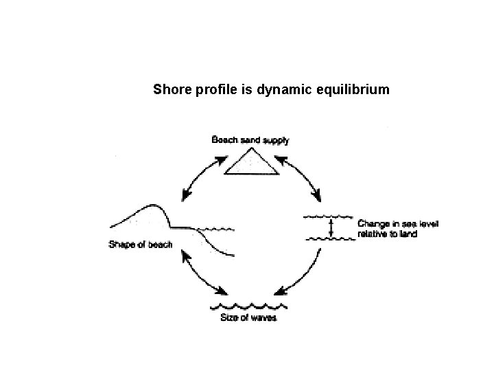 Shore profile is dynamic equilibrium 