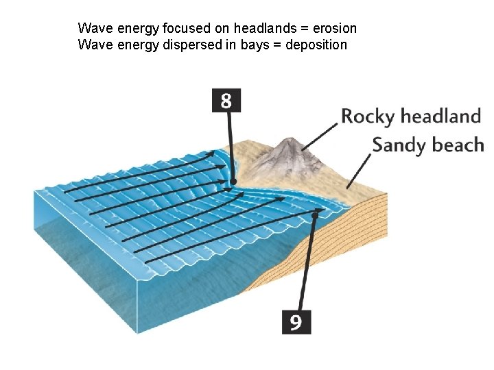 Wave energy focused on headlands = erosion Wave energy dispersed in bays = deposition