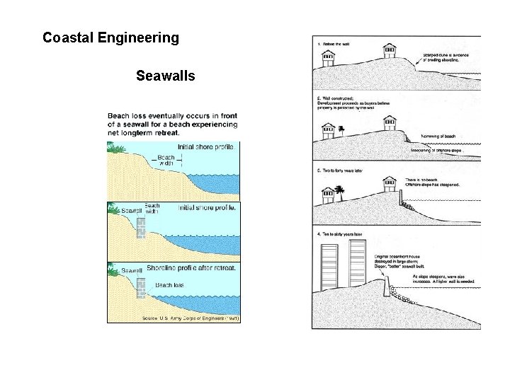 Coastal Engineering Seawalls 