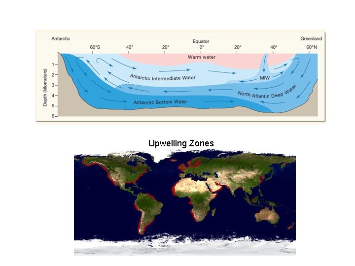 Upwelling Zones 