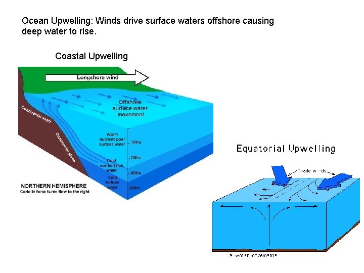 Ocean Upwelling: Winds drive surface waters offshore causing deep water to rise. Coastal Upwelling