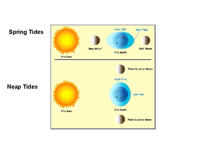 Spring Tides Neap Tides 