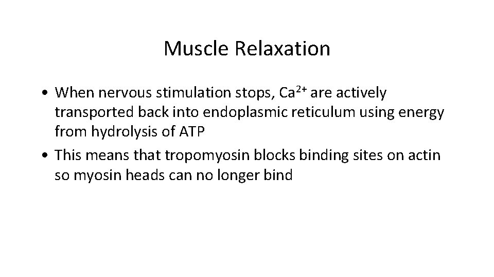 Muscle Relaxation • When nervous stimulation stops, Ca 2+ are actively transported back into