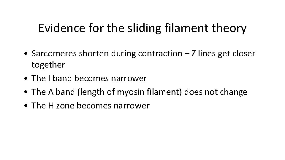 Evidence for the sliding filament theory • Sarcomeres shorten during contraction – Z lines