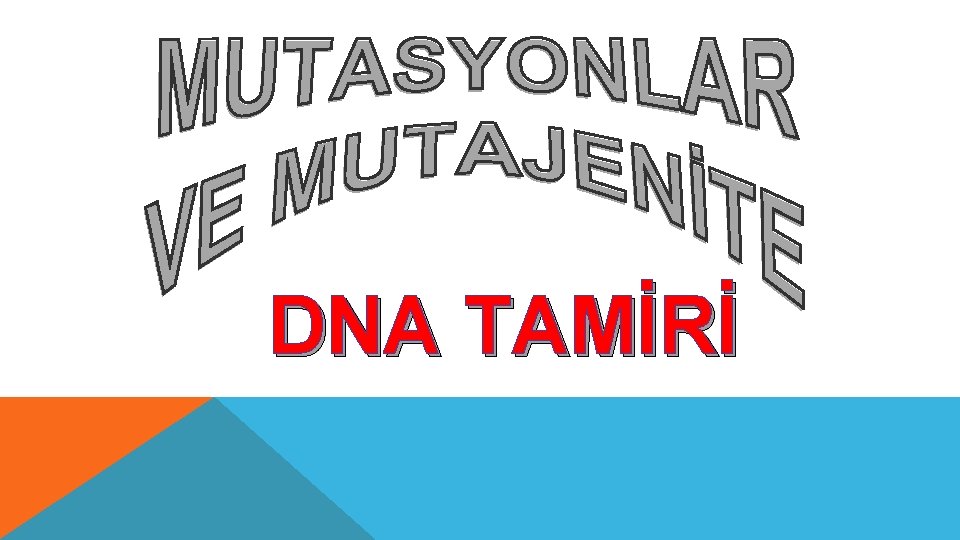 DNA TAMİRİ 