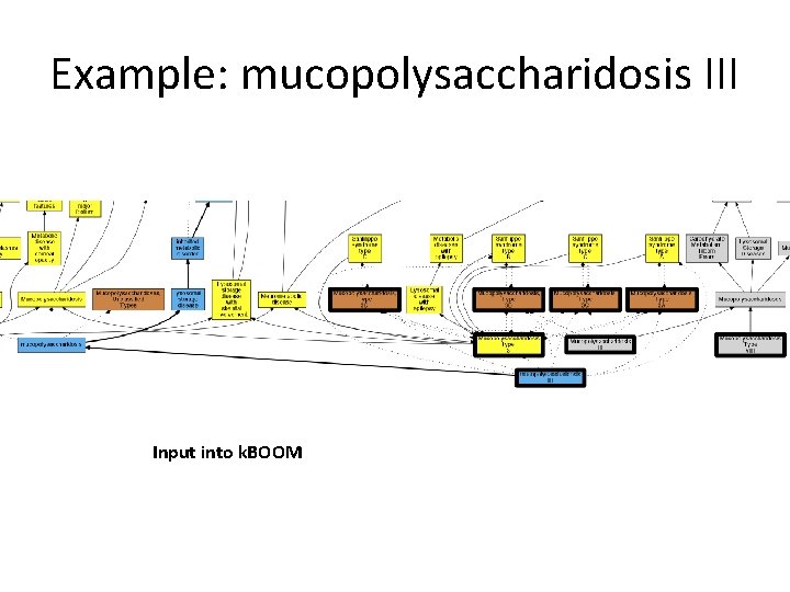 Example: mucopolysaccharidosis III Input into k. BOOM 