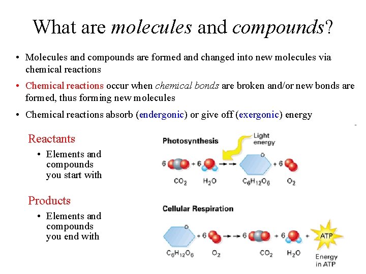 What are molecules and compounds? • Molecules and compounds are formed and changed into
