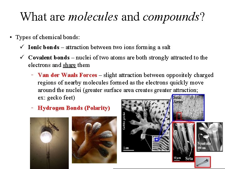 What are molecules and compounds? • Types of chemical bonds: ü Ionic bonds –