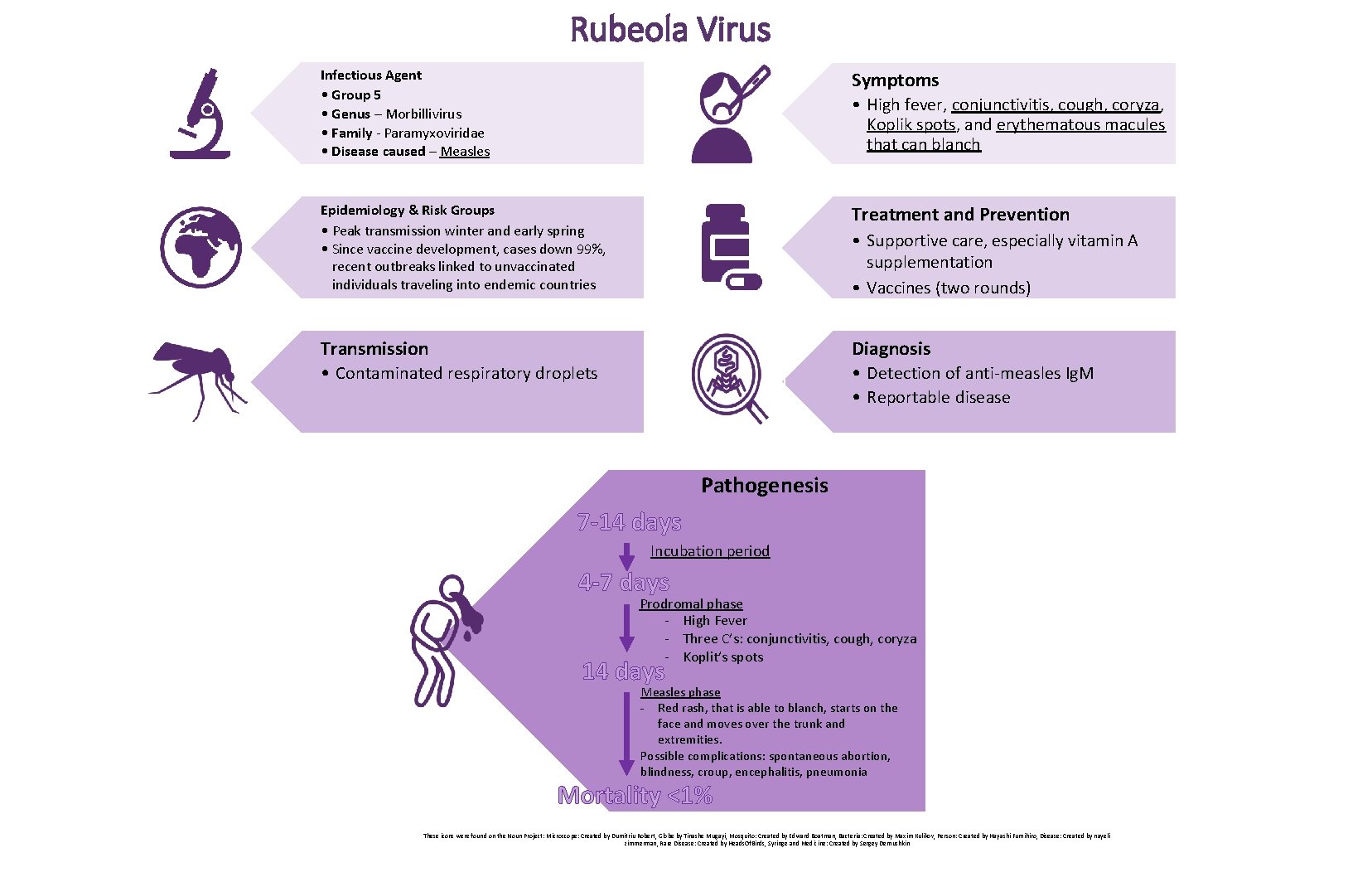 Rubeola Virus Infectious Agent • Group 5 • Genus – Morbillivirus • Family -
