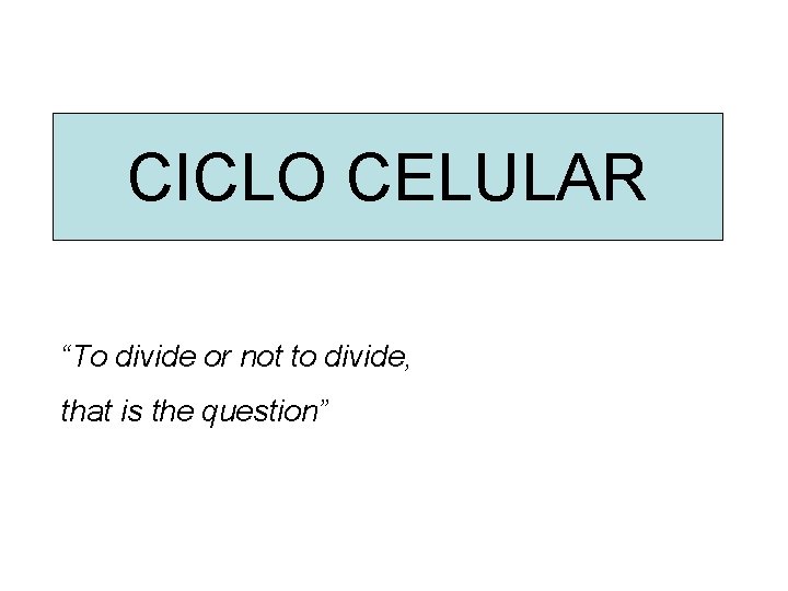 CICLO CELULAR “To divide or not to divide, that is the question” CICLO CELULAR “To divide or not to divide, that is the question”