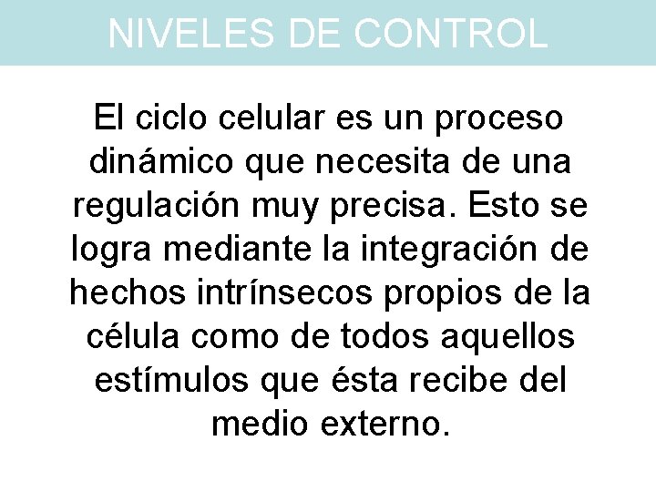 NIVELES DE CONTROL El ciclo celular es un proceso dinámico que necesita de una NIVELES DE CONTROL El ciclo celular es un proceso dinámico que necesita de una