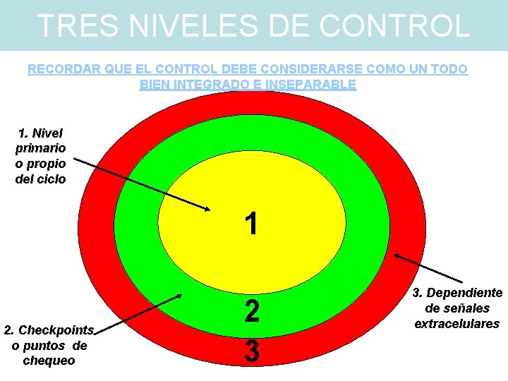 TRES NIVELES DE CONTROL RECORDAR QUE EL CONTROL DEBE CONSIDERARSE COMO UN TODO BIEN TRES NIVELES DE CONTROL RECORDAR QUE EL CONTROL DEBE CONSIDERARSE COMO UN TODO BIEN