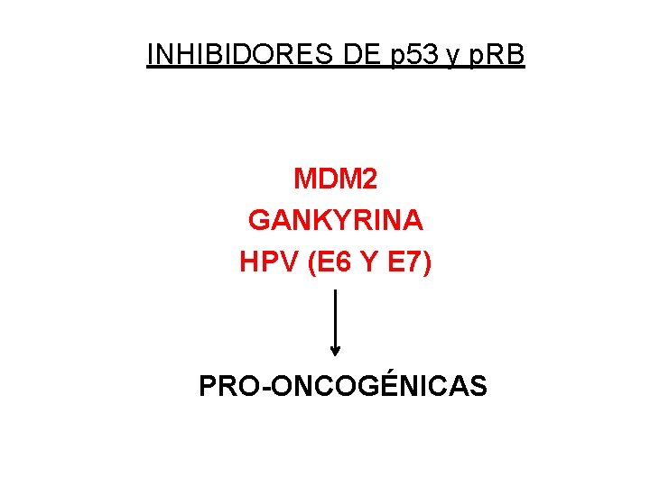 INHIBIDORES DE p 53 y p. RB MDM 2 GANKYRINA HPV (E 6 Y INHIBIDORES DE p 53 y p. RB MDM 2 GANKYRINA HPV (E 6 Y